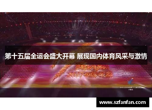 第十五届全运会盛大开幕 展现国内体育风采与激情
