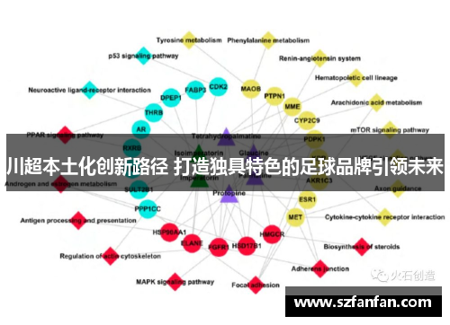 川超本土化创新路径 打造独具特色的足球品牌引领未来